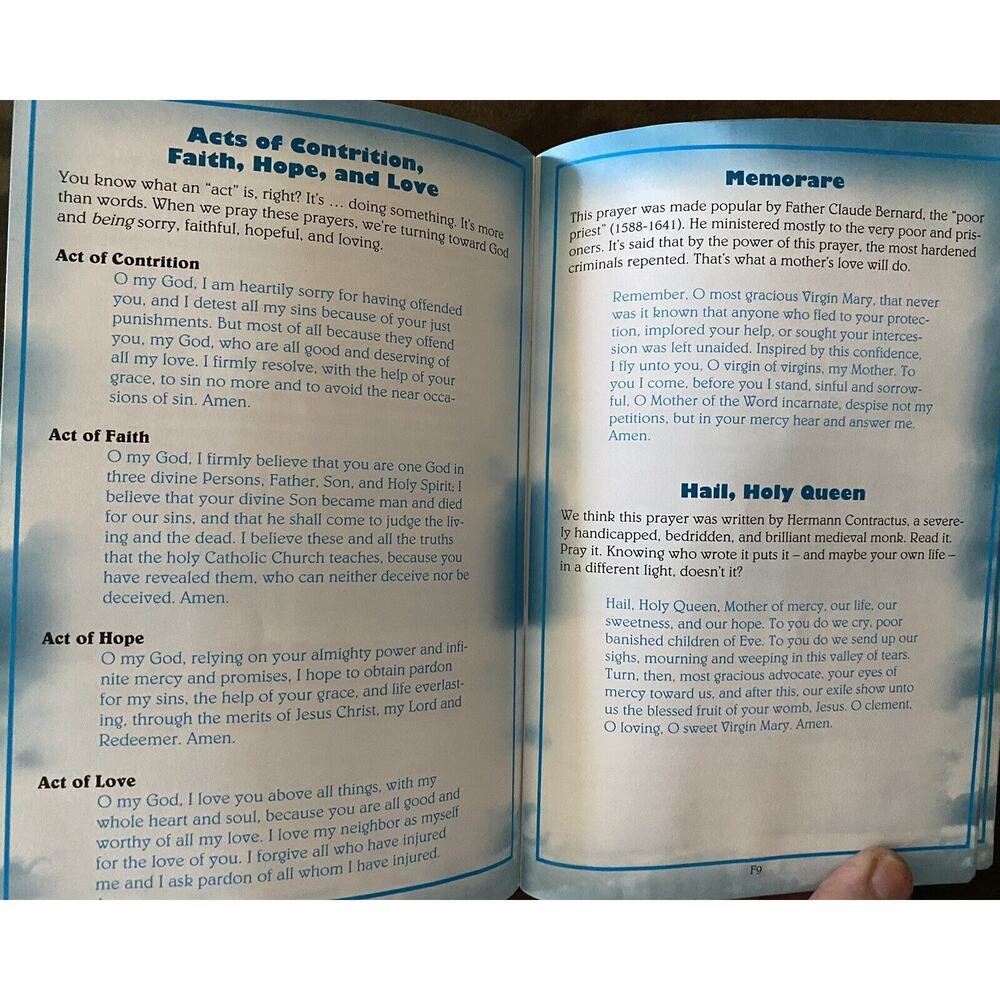 The Catholic Teen Bible StudyNAB Revised Edition Illustrated Inserts - Picture 14 of 16
